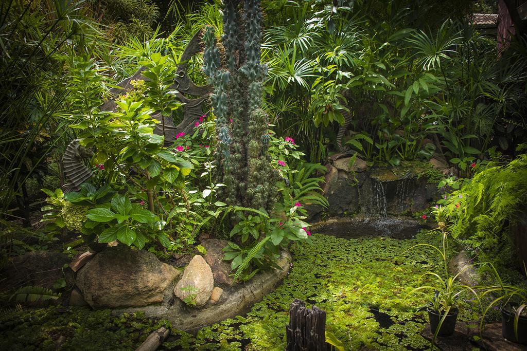 Pousada Fenix Pirenópolis Exteriér fotografie